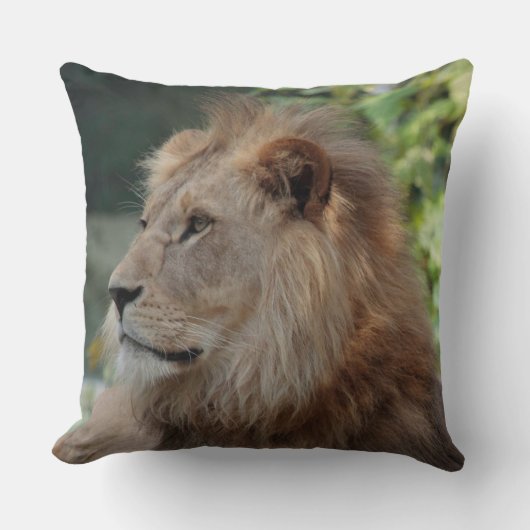 Lion 035 クッション (正面)