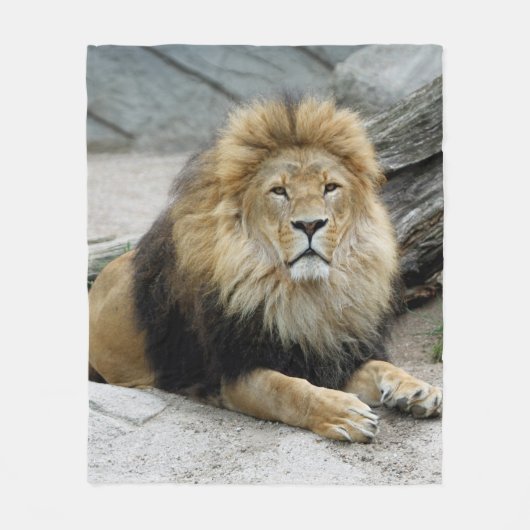 Lion_2014_1001 フリースブランケット (正面)