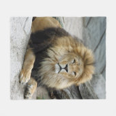 Lion_2014_1001 フリースブランケット (正面(横))