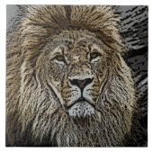 Lion_2015_0501 タイル (正面)