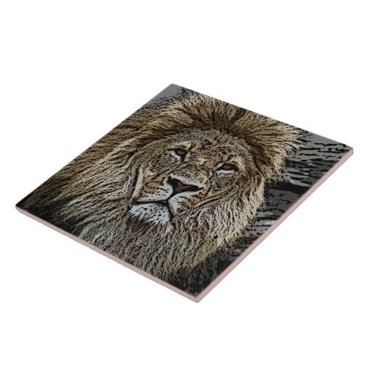 Lion_2015_0501 タイル (側面)