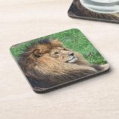 Lion_2015_0701 コースター (左側)