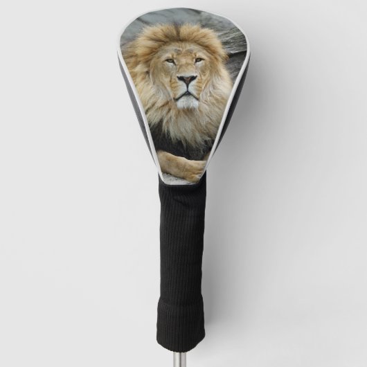 Lion_2023-02 ゴルフヘッドカバー (正面)