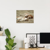 Lion and Lioness Sleeping Poster ポスター (ホームオフィス)