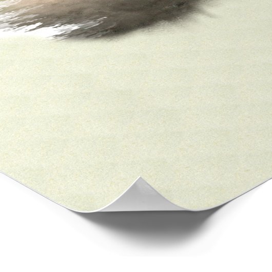 Lion At Rest Lion Lovers Art ポスター (角)