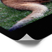 LION CUB ポスター (角)