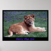 LION CUB ポスター (正面)