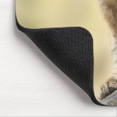 Lion Cub Climbing Tree Cute Photo マウスパッド (コーナー)