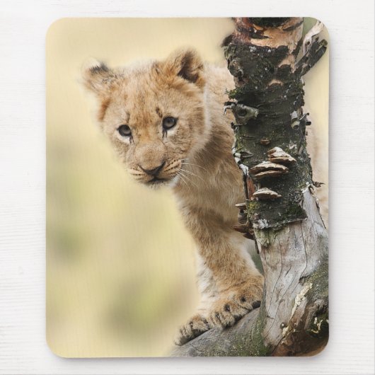Lion Cub Climbing Tree Cute Photo マウスパッド (正面)