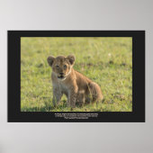 Lion Cub In Natural Setting Personalize Text  ポスター (正面)