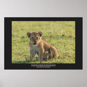 Lion Cub In Natural Setting Personalize Text  ポスター