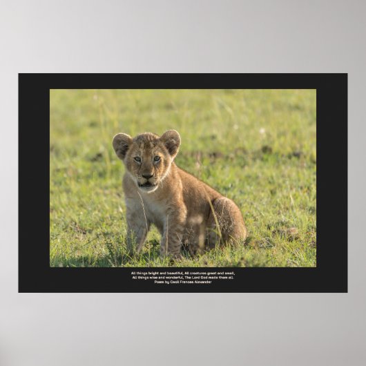 Lion Cub In Natural Setting Personalize Text  ポスター (正面)