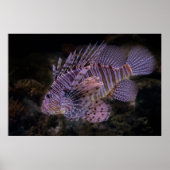 Lion Fish Wall Poster Custom Ocean Design ポスター (正面)