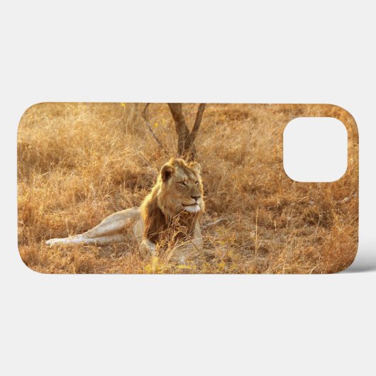 Lion iPhone 13ケース Case-Mate iPhoneケース (裏面 (横))