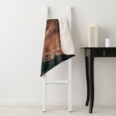 LION LYING ON BROWN ROCK シェルパブランケット (インサイチュ)