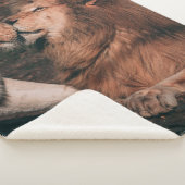 LION LYING ON BROWN ROCK シェルパブランケット (3/4)