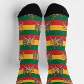 Lion of Judah Jah Rastafari Rasta Reggae Socks ソックス (上部)