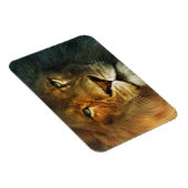 Lion of Judah - Rastafara - Reggae Rasta Magnet マグネット (右側)