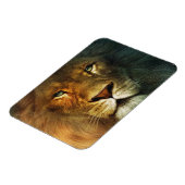 Lion of Judah - Rastafara - Reggae Rasta Magnet マグネット (左側)