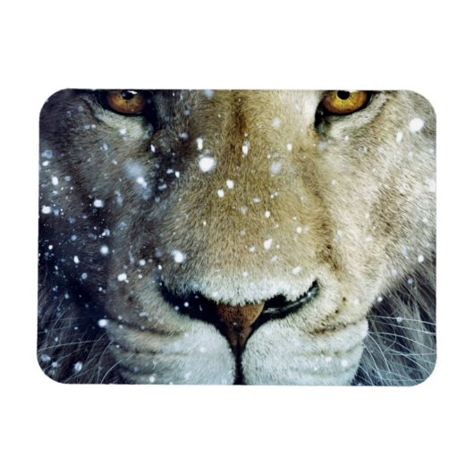 Lion of Judah - Rastafara - Reggae Rasta Magnet マグネット (横)