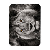 Lion of Judah - Rastafara - Reggae Rasta Magnet マグネット (縦)