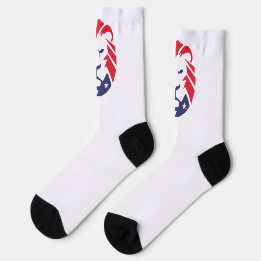 Lion of Patriots Socks ソックス (左)