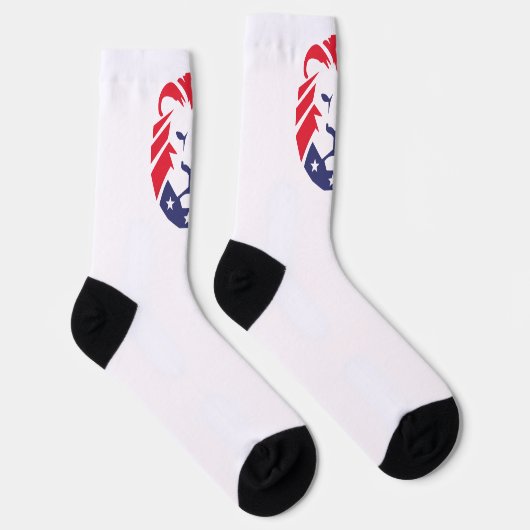 Lion of Patriots Socks ソックス (右)