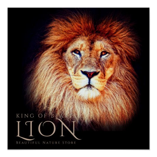 Lion [Perfect Poster] ポスター (正面)