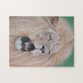 Lion picture big cat wildlife realist art ジグソーパズル (横)