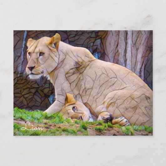 Lion [Postcard] ポストカード (正面)