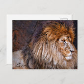 Lion [Postcard] ポストカード (正面/裏面)