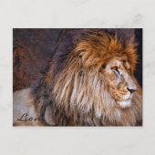 Lion [Postcard] ポストカード (正面)
