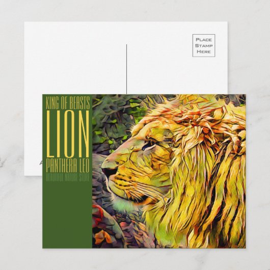 Lion [Postcard] ポストカード (正面/裏面)
