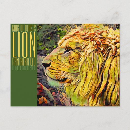 Lion [Postcard] ポストカード (正面)
