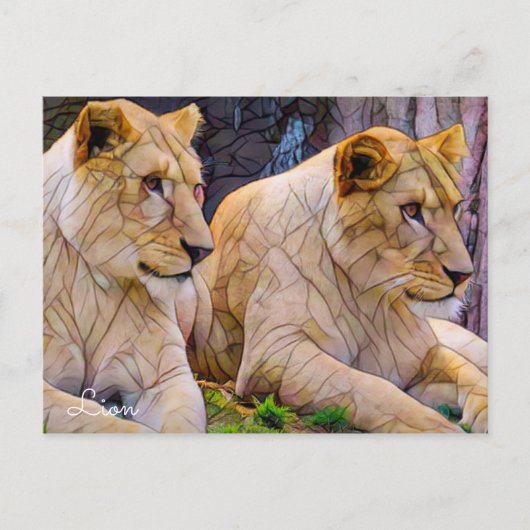 Lion [Postcard] ポストカード (正面)