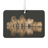 Lion Pride Drinks at the Water Hole at Night カーエアーフレッシュナー (裏面)