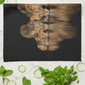 Lion Pride Drinks at the Water Hole at Night キッチンタオル (折り畳み)