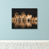 Lion Pride Drinks at the Water Hole at Night キャンバスプリント (インサイチュ (ウッドフロア))