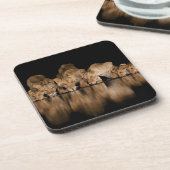 Lion Pride Drinks at the Water Hole at Night コースター (左側)