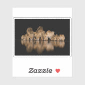 Lion Pride Drinks at the Water Hole at Night シール (シート)