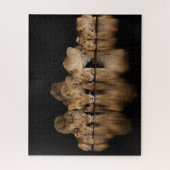 Lion Pride Drinks at the Water Hole at Night ジグソーパズル (縦)