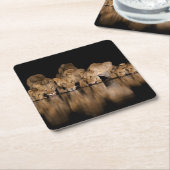 Lion Pride Drinks at the Water Hole at Night スクエアペーパーコースター (アングル)