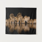 Lion Pride Drinks at the Water Hole at Night タペストリー (正面(横))