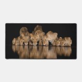 Lion Pride Drinks at the Water Hole at Night デスクマット (正面)