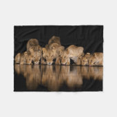 Lion Pride Drinks at the Water Hole at Night フリースブランケット (正面(横))