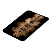 Lion Pride Drinks at the Water Hole at Night マグネット (左側)