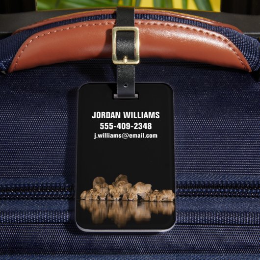 Lion Pride Drinks at the Water Hole at Night ラゲッジタグ (正面インサイチュ2)