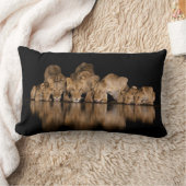 Lion Pride Drinks at the Water Hole at Night ランバークッション (ブランケット)