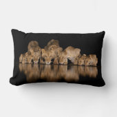 Lion Pride Drinks at the Water Hole at Night ランバークッション (正面)