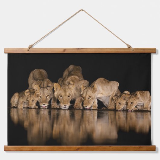 Lion Pride Drinks at the Water Hole at Night 吊り下げ型タペストリー (正面)